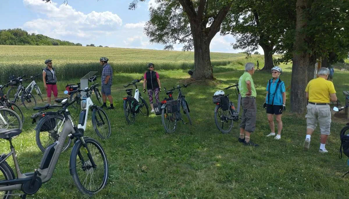 © Dorothee Holzwarth