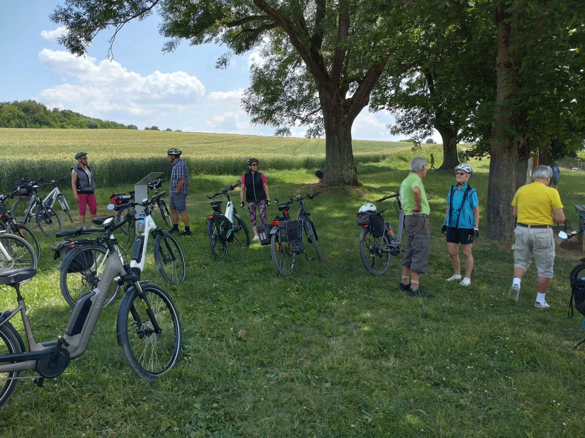 © Dorothee Holzwarth