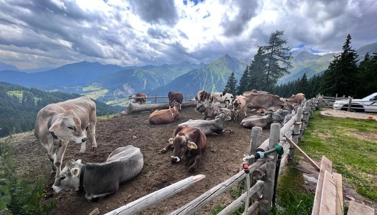 MTB Gruppe | © Thomas Karpfer