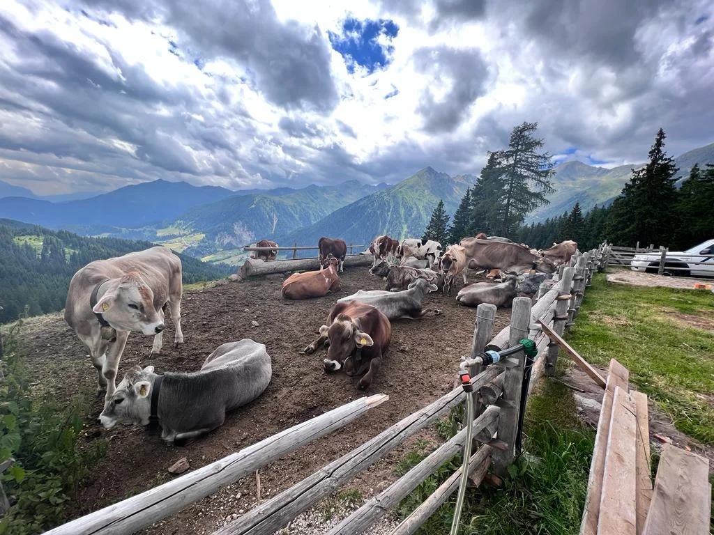 MTB Gruppe | © Thomas Karpfer