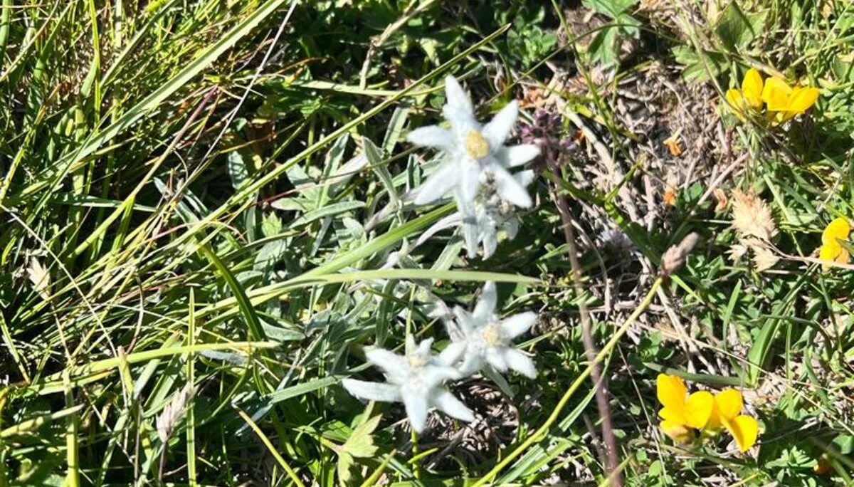 MTB Gruppe | © Thomas Karpfer