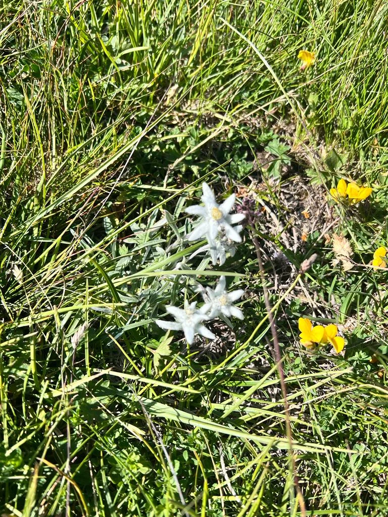 MTB Gruppe | © Thomas Karpfer