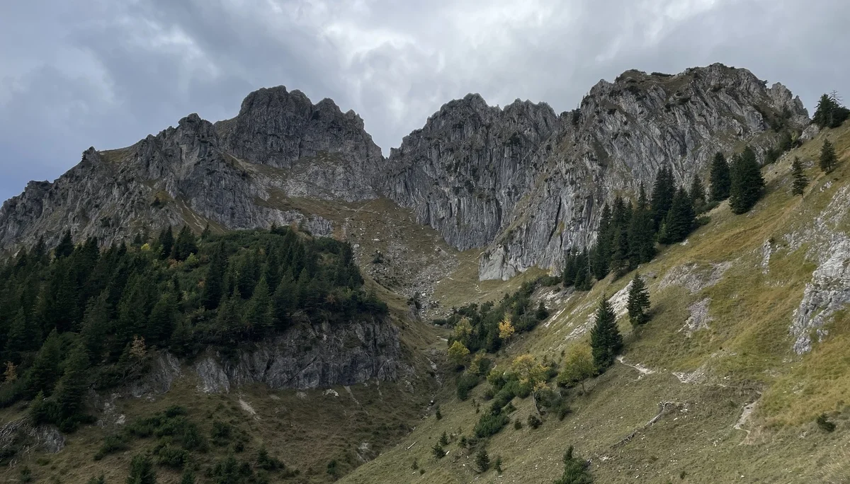 © Stephan Bösel