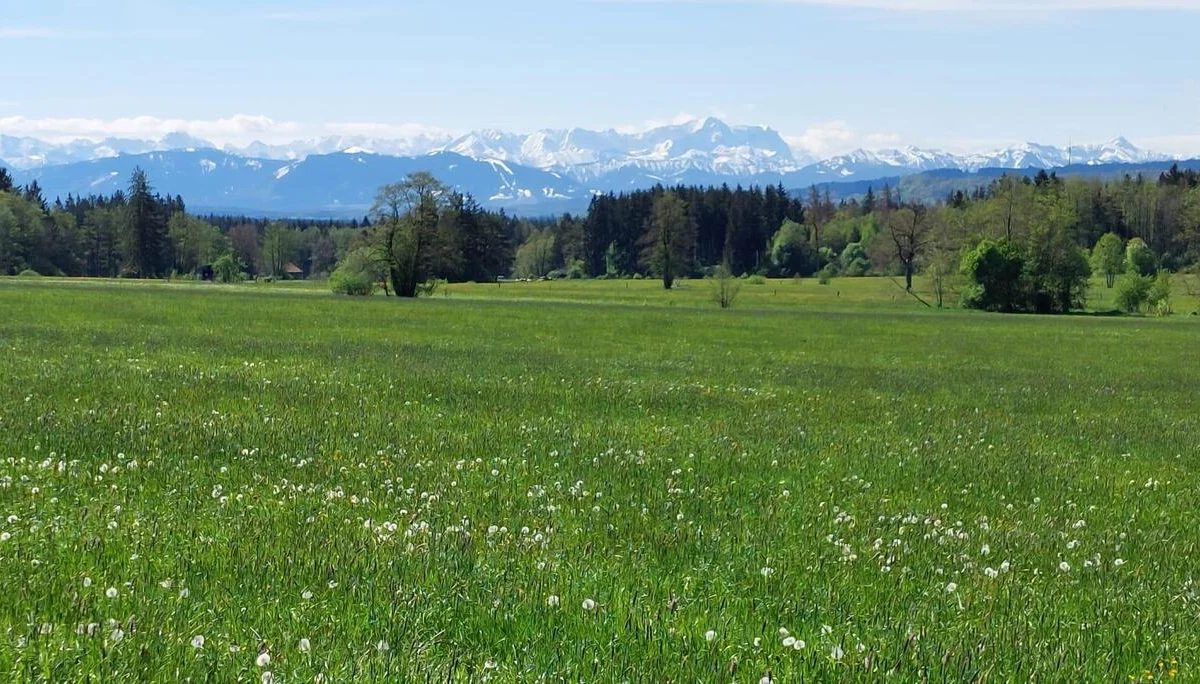 © Albert Feichtenbeiner