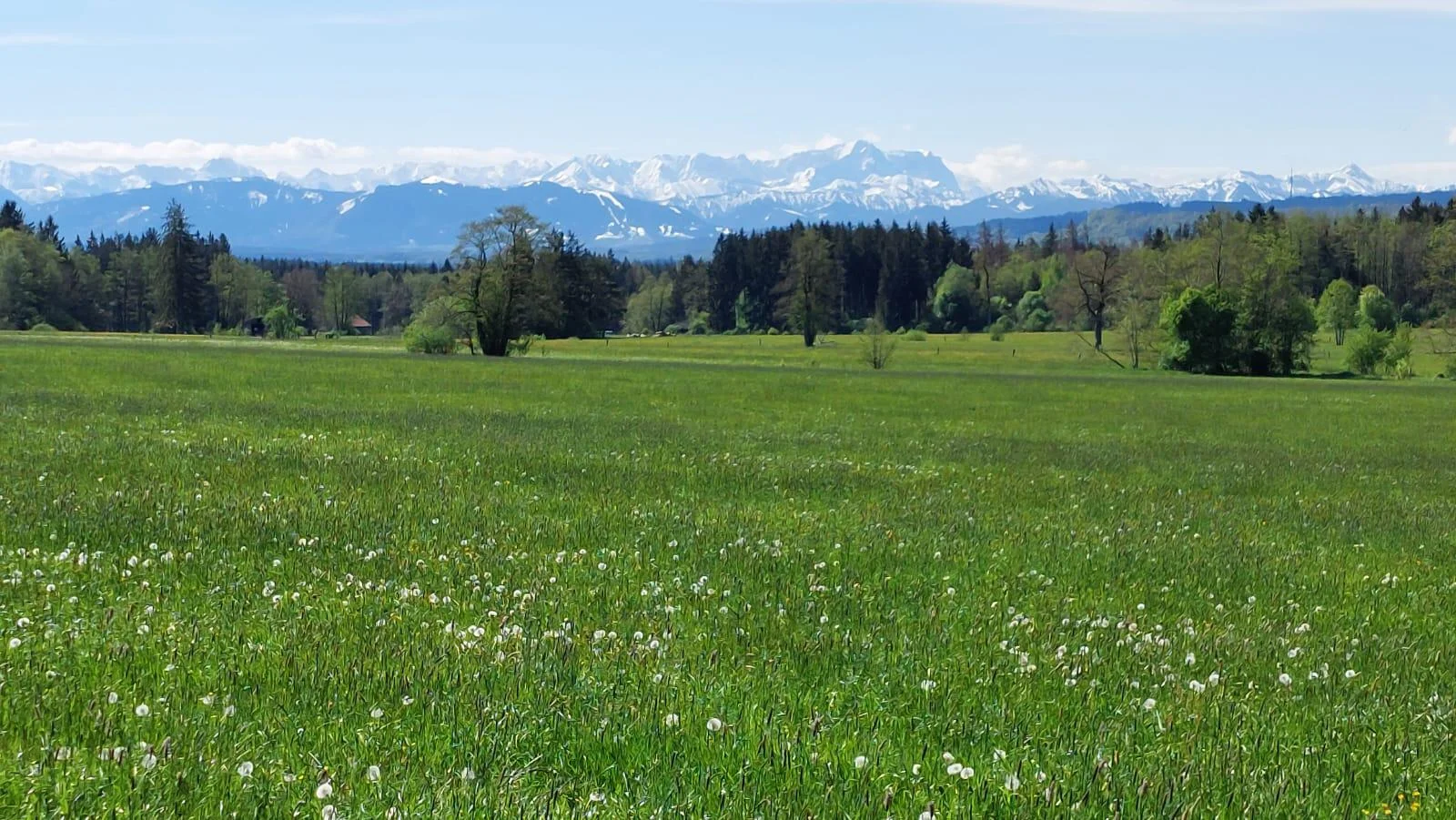 © Albert Feichtenbeiner