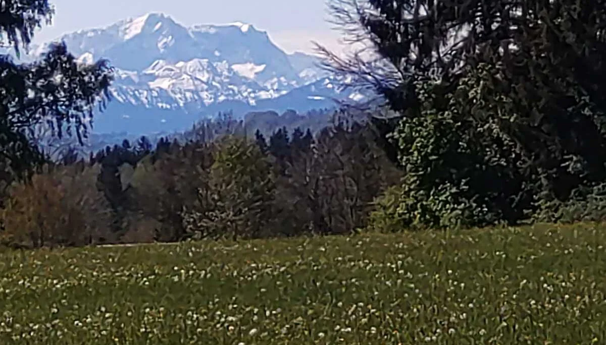 © Albert Feichtenbeiner