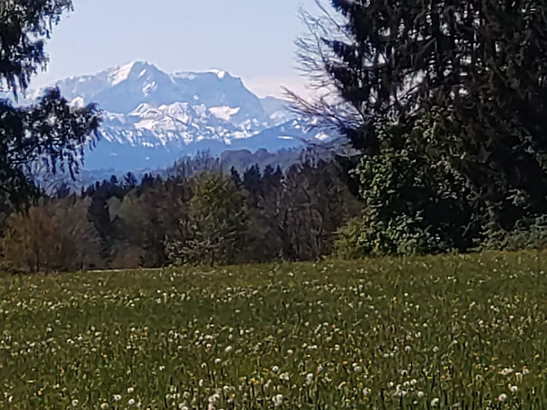 © Albert Feichtenbeiner