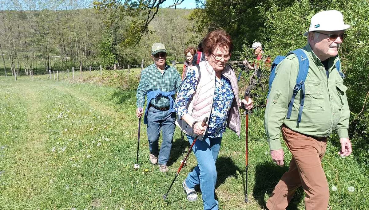 © Albert Feichtenbeiner