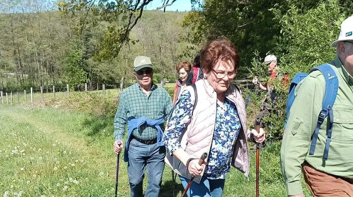 © Albert Feichtenbeiner