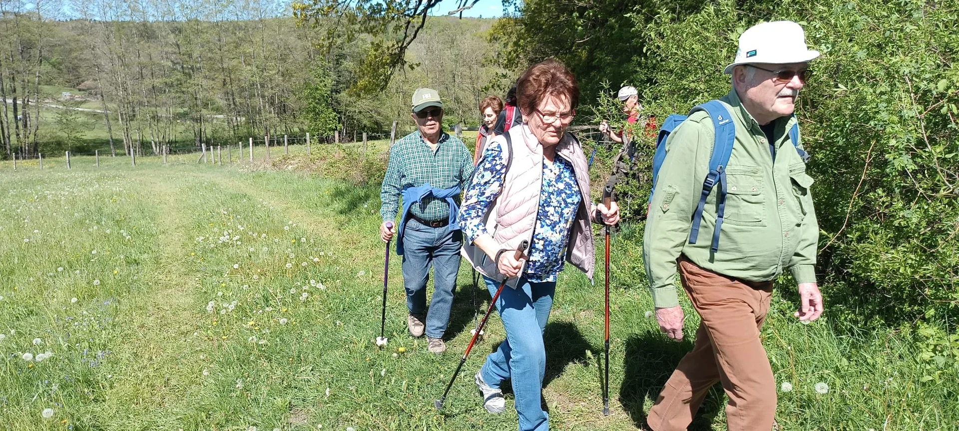 © Albert Feichtenbeiner