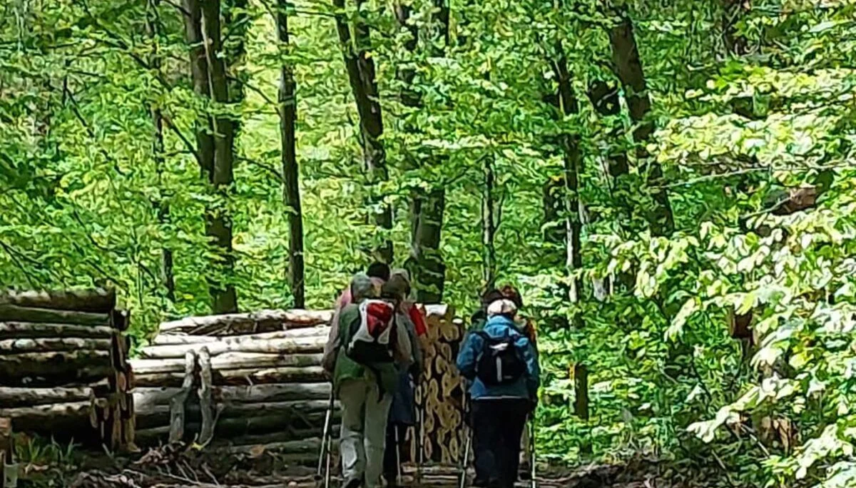 © Albert Feichtenbeiner