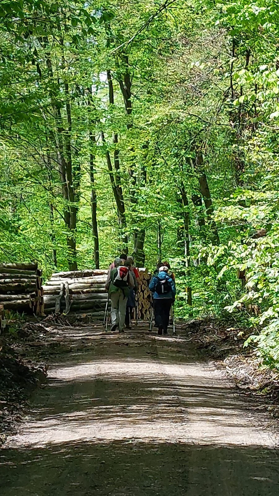 © Albert Feichtenbeiner