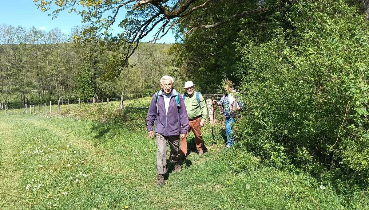 © Albert Feichtenbeiner