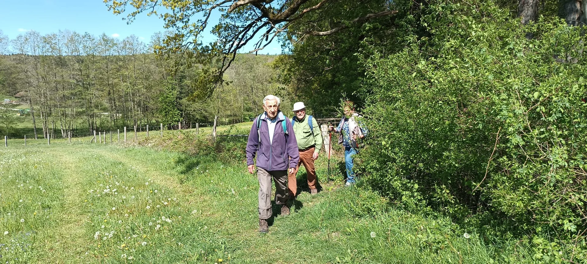 © Albert Feichtenbeiner