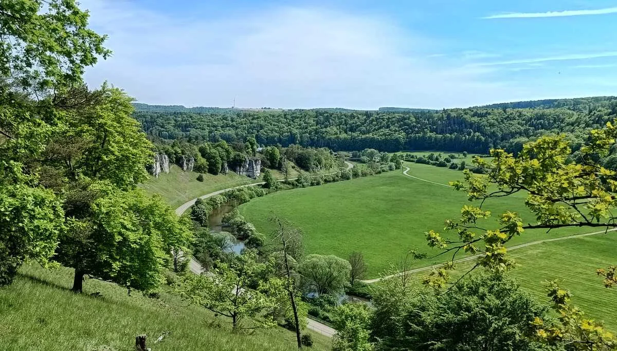 © Albert Feichtenbeiner