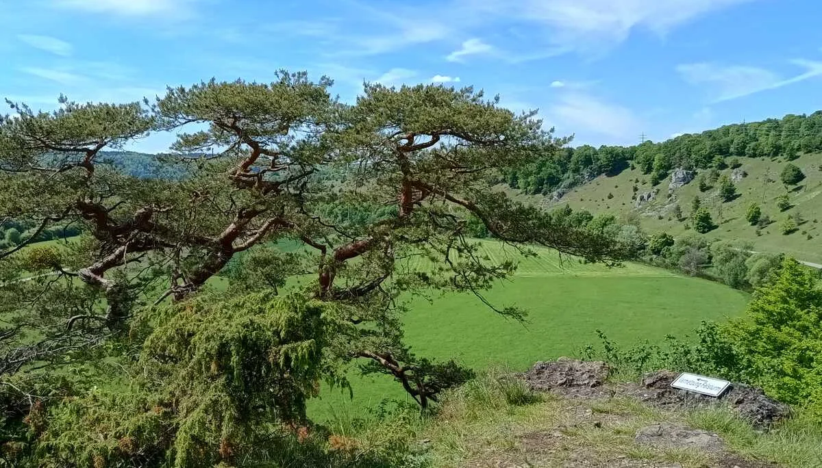 © Albert Feichtenbeiner