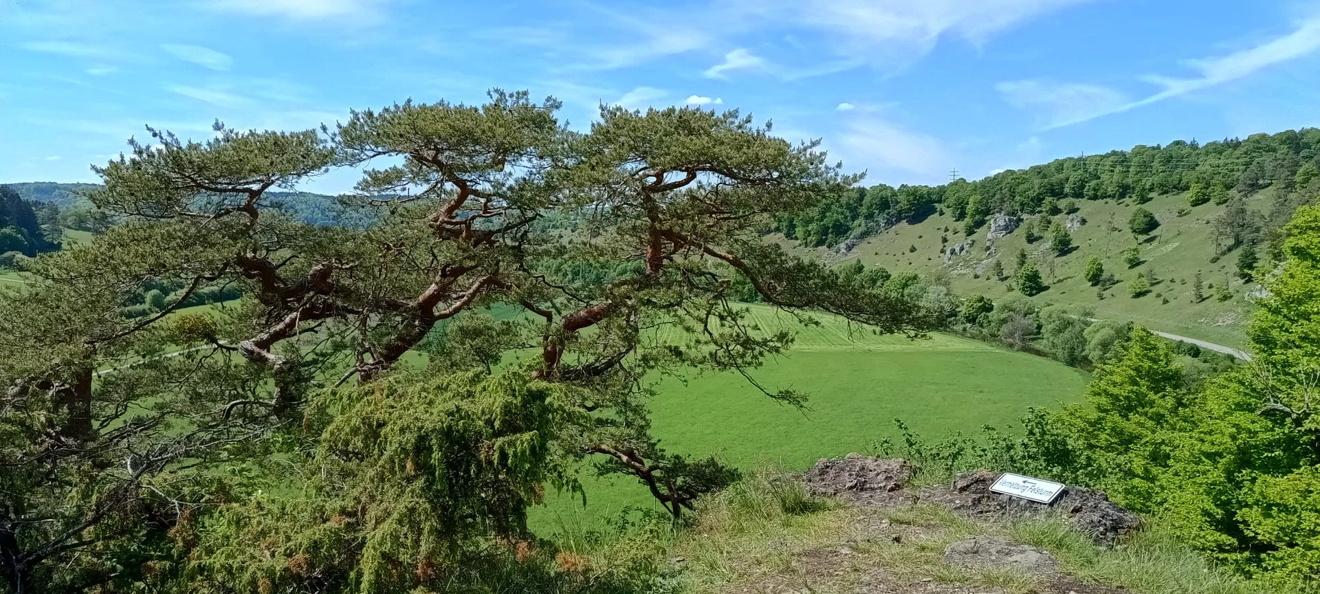 © Albert Feichtenbeiner