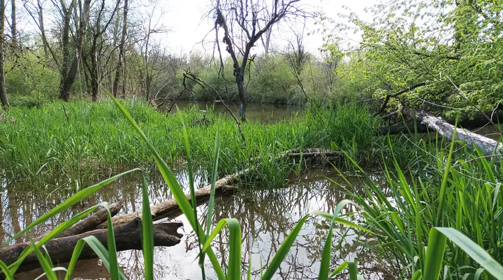 © DAV Sektion Landsberg