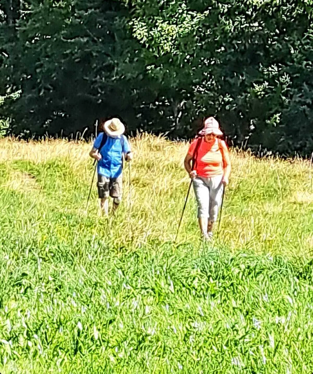 © Albert Feichtenbeiner