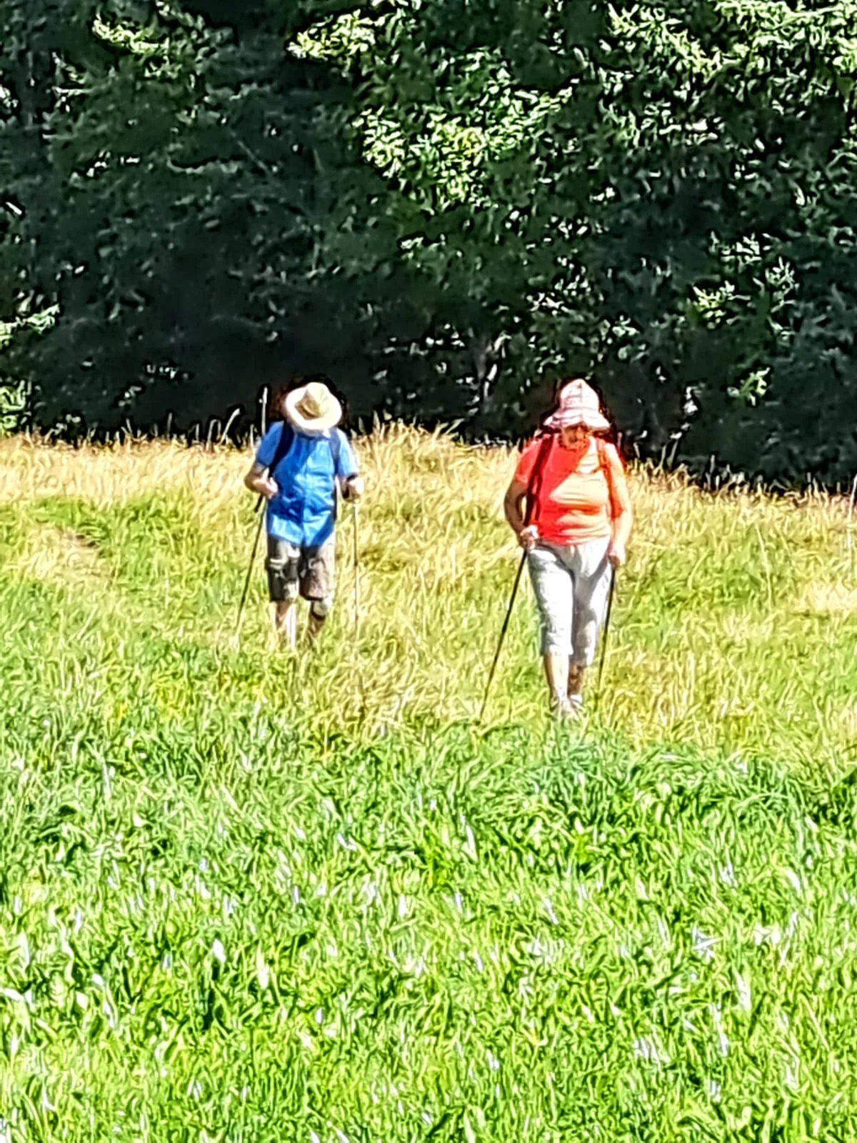 © Albert Feichtenbeiner