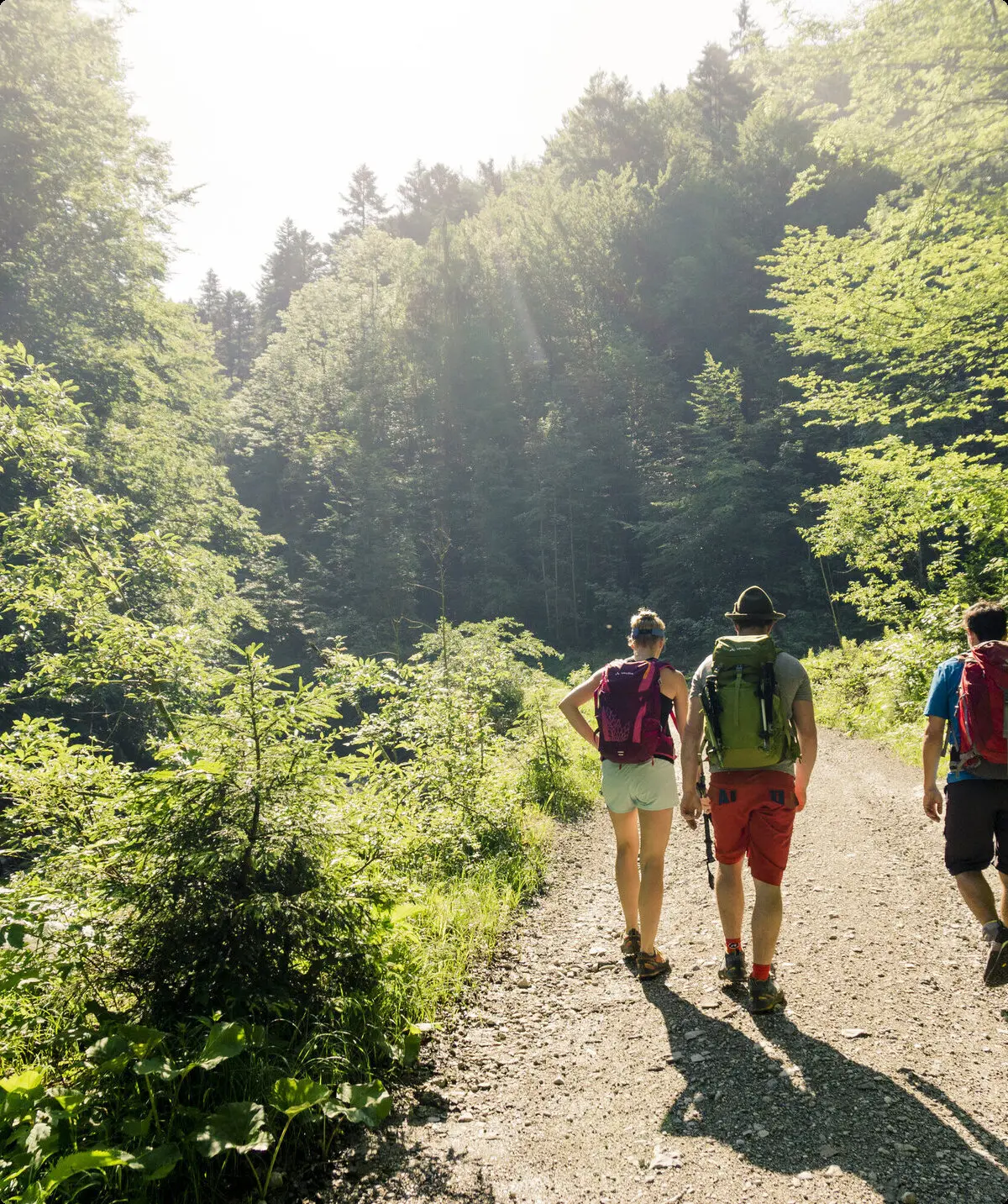 Drei Wanderer auf einem Bergpfad in den Chiemgauer Alpen | © DAV/Hans Herbig