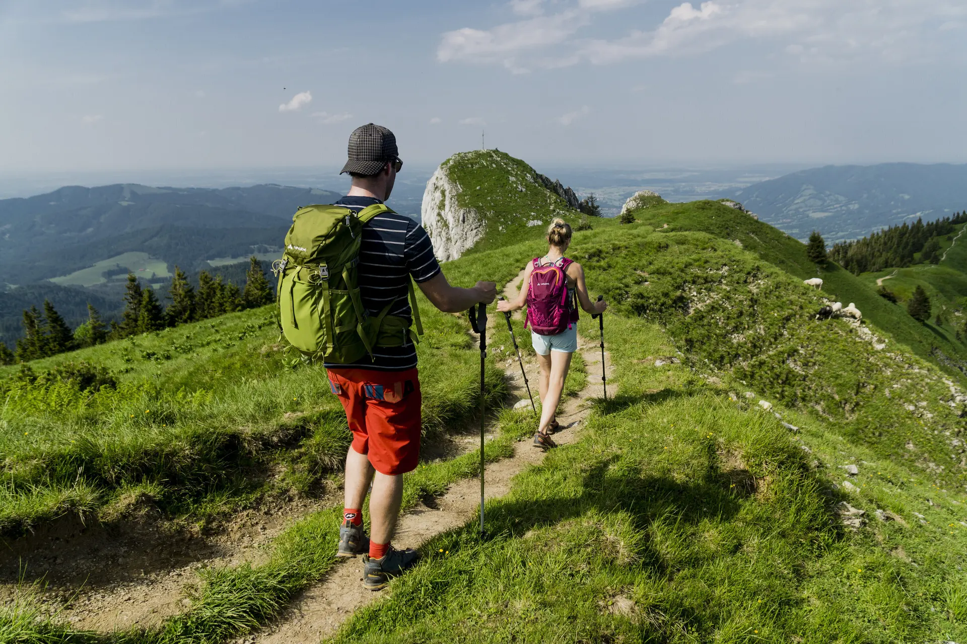 Zwei Wanderer auf den grünen Berghängen der Chiemgauer Alpen | © DAV/Hans Herbig
