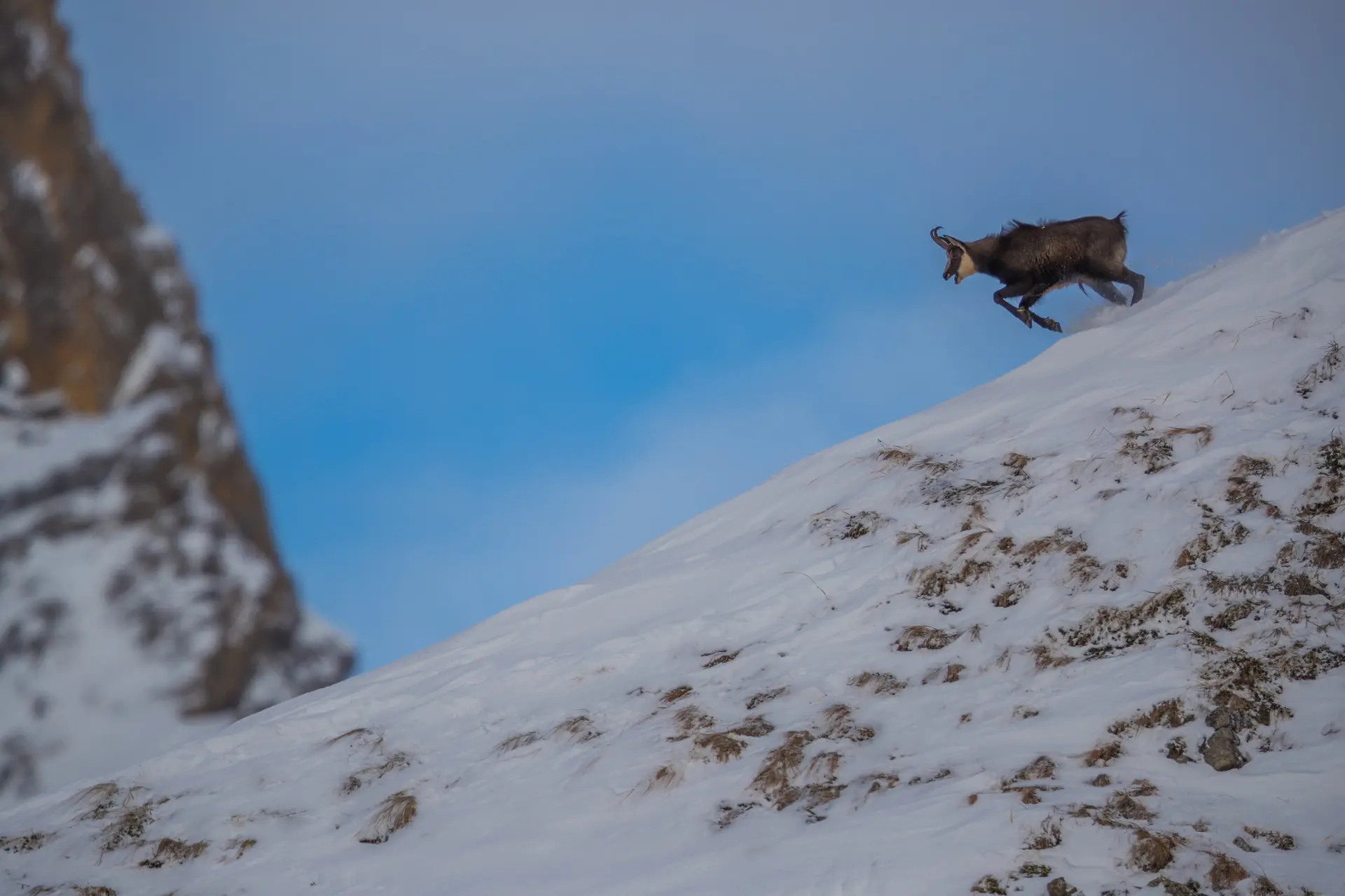 © DAV/Karl Seidl